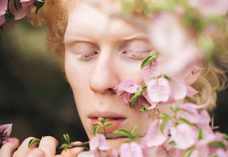 The Ultimate Guide To Beauty Pic 1