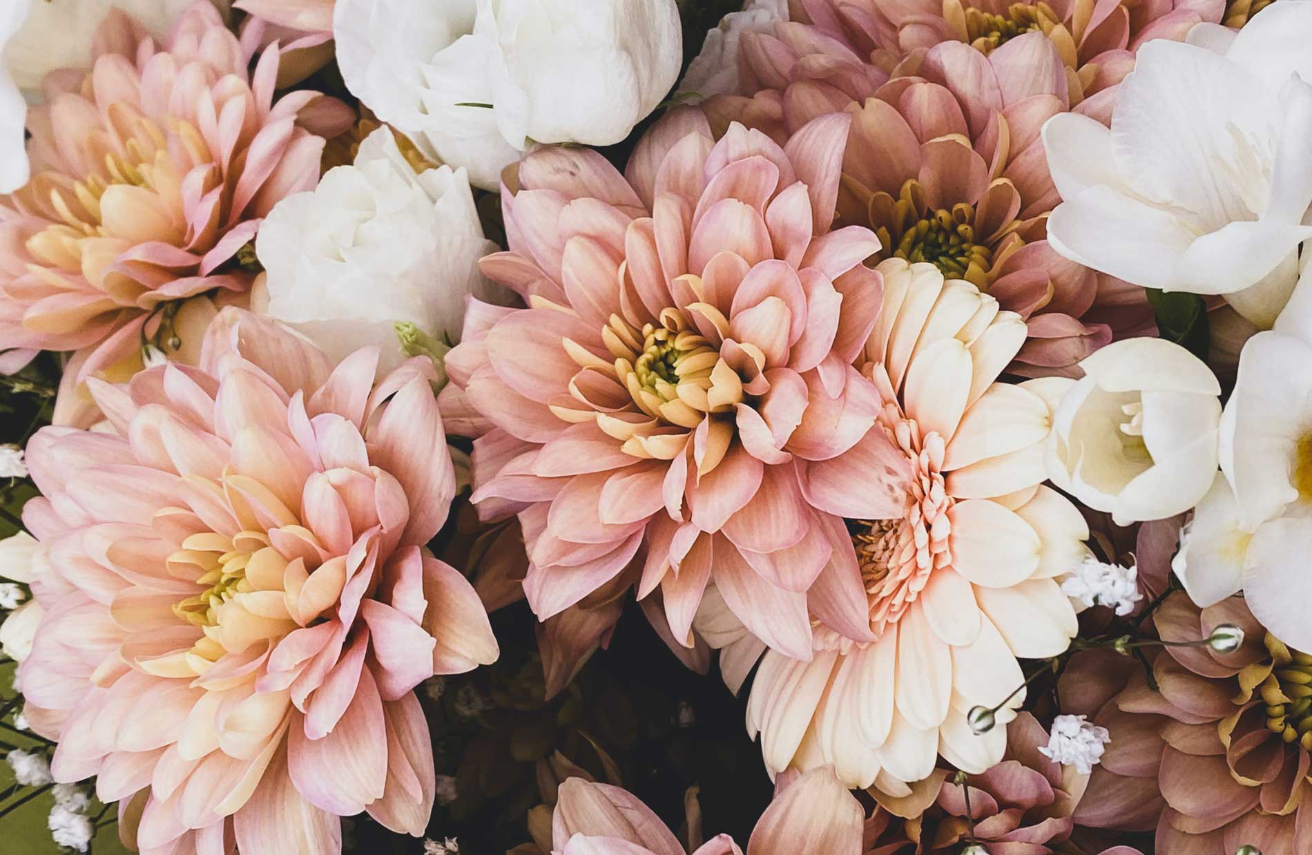 3 Simple Tips For Using Pink Pic 17