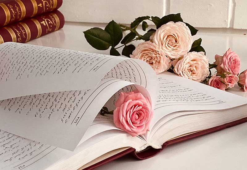Everything You Wanted to Know Pic 7